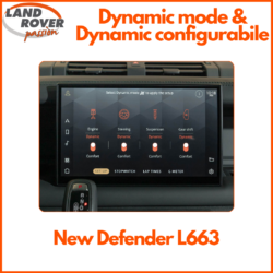 LRP NDef Dynamic mode & Dynamic configurabile