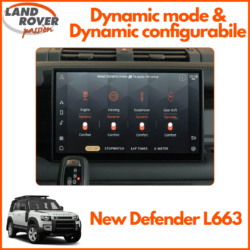 LRP NDef Dynamic mode Dynamic configurabile